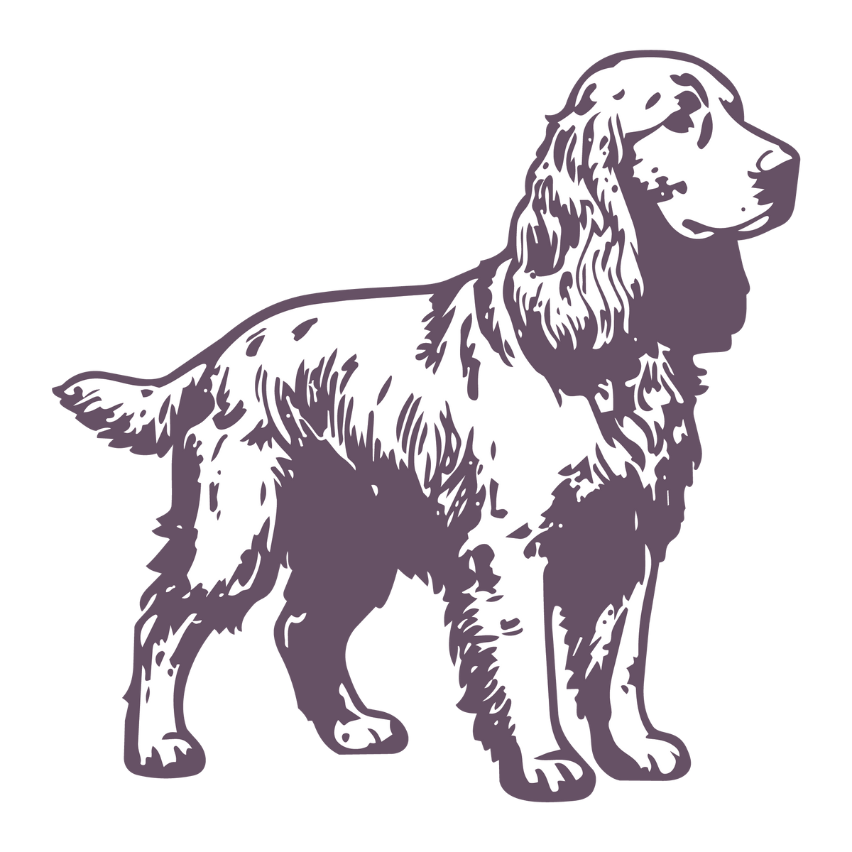 The Spaniel Edit