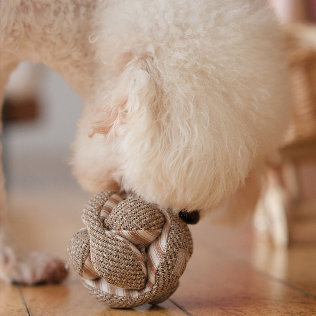 Snuffle Toy