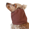 Cotton Dog Snood | Cinnamon Brown