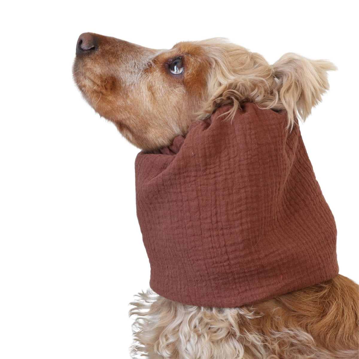 Cotton Dog Snood | Cinnamon Brown