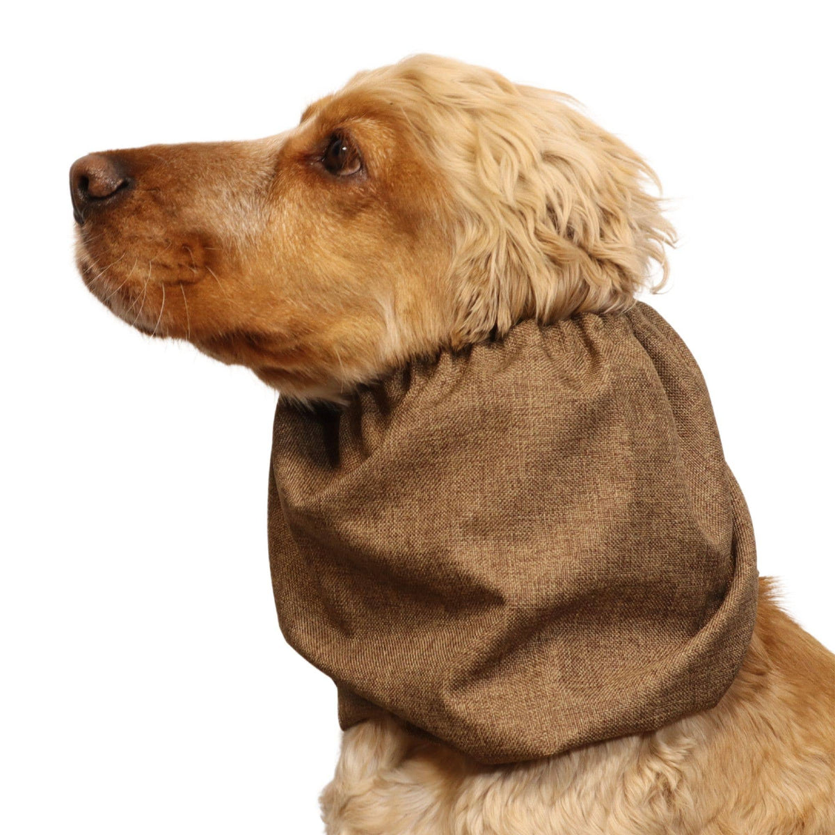 Waterproof  Dog Snood | Hazelnut Brown