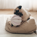 Snuffle Ball
