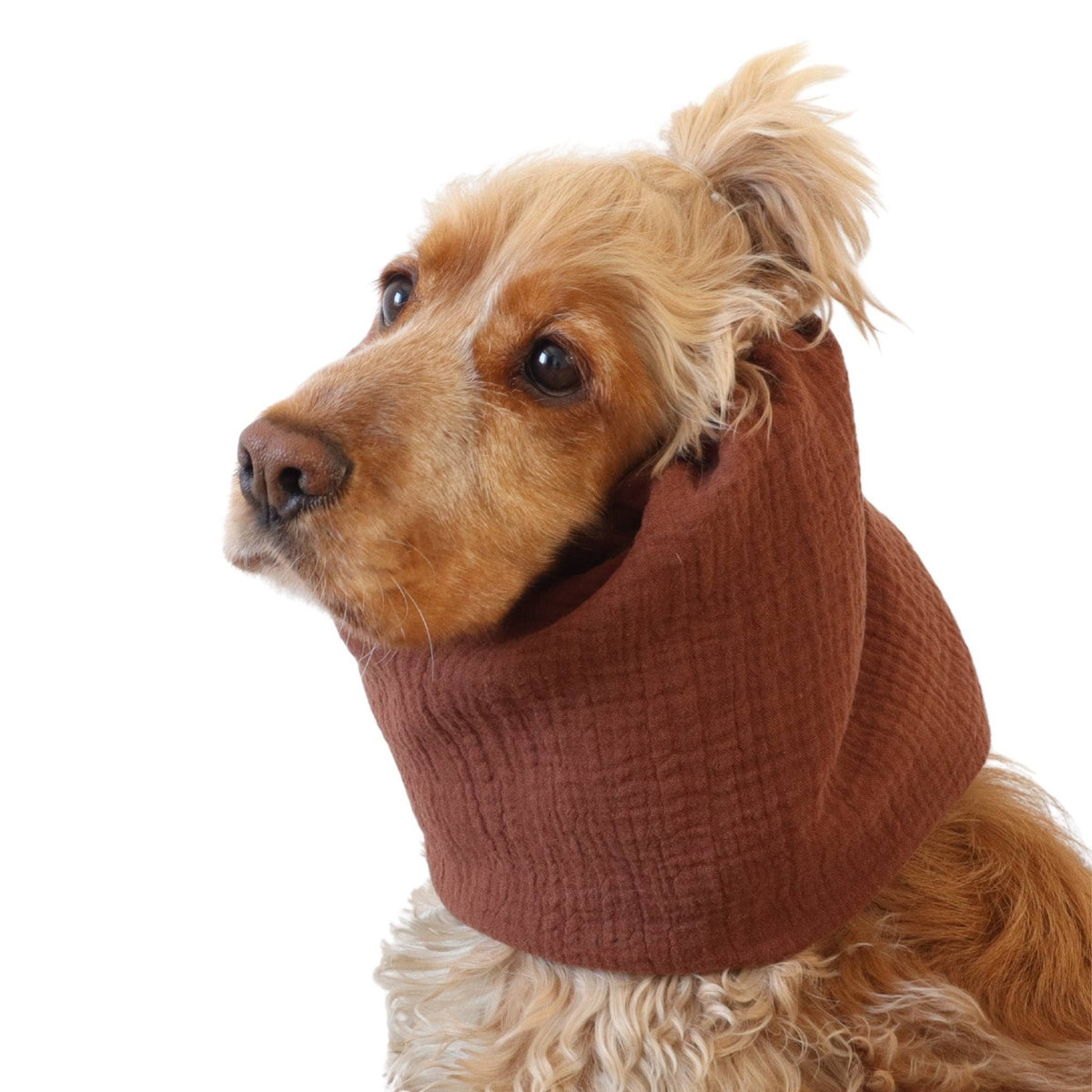 Cotton Dog Snood | Cinnamon Brown
