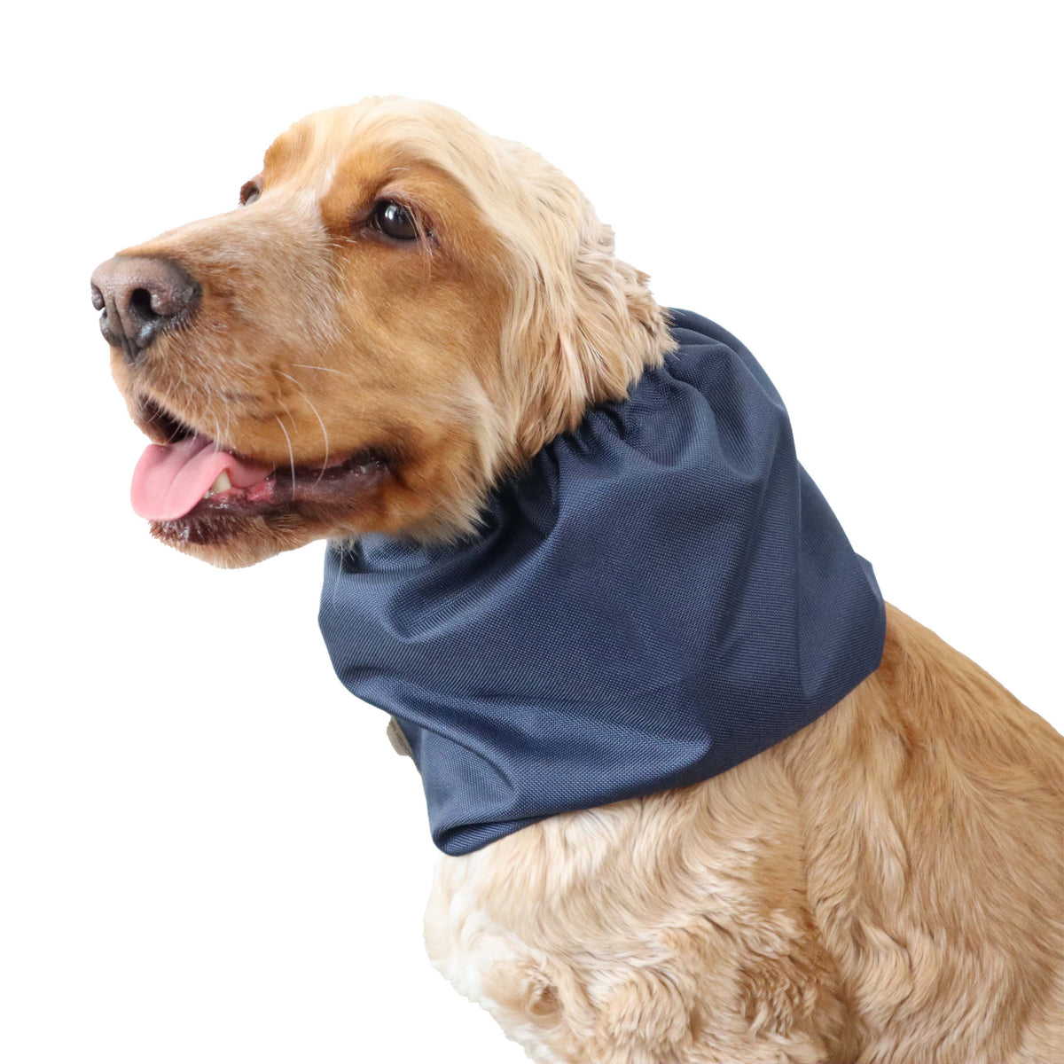 Waterproof Dog Snood | Navy Blue