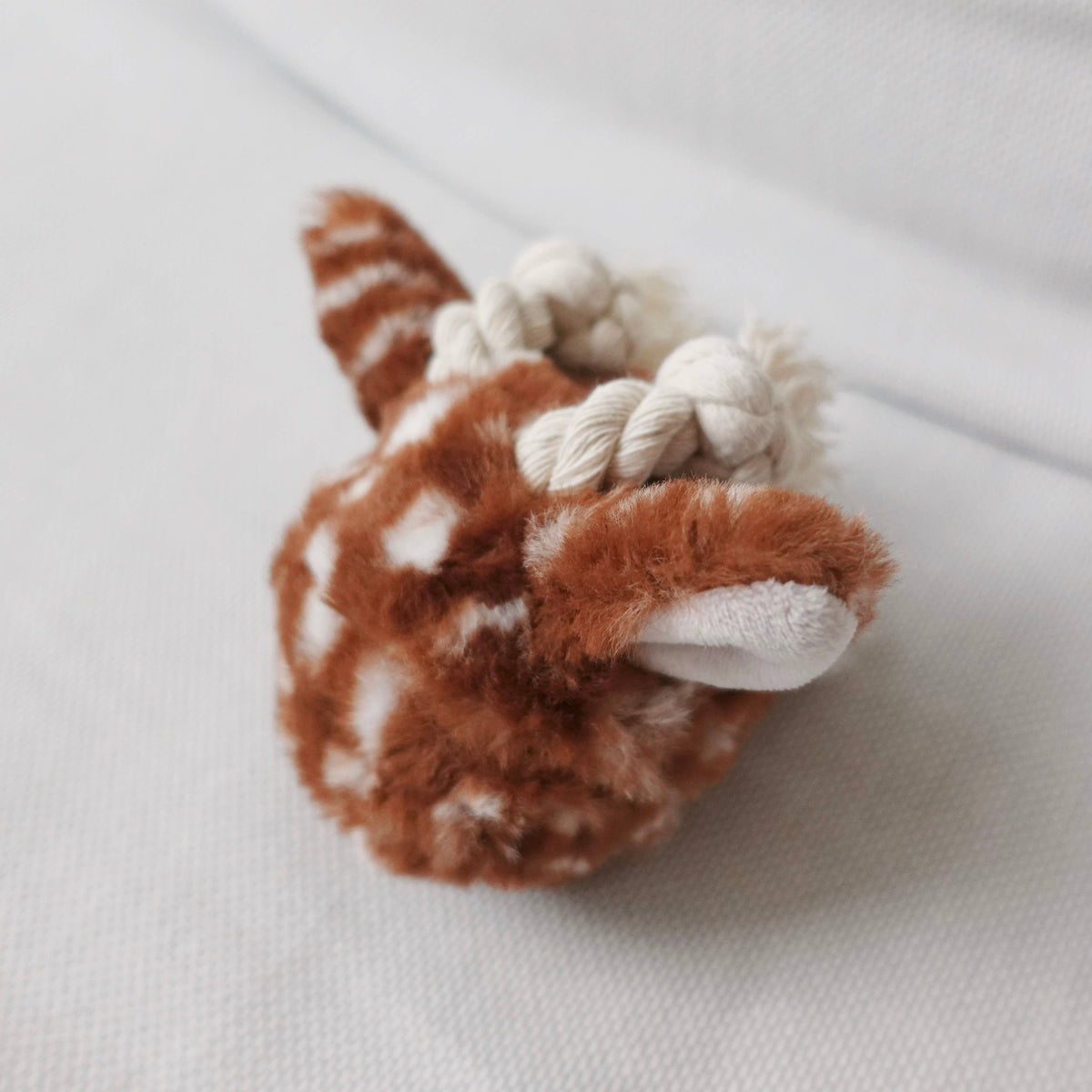 Squeaky Ball Enrichment Toy