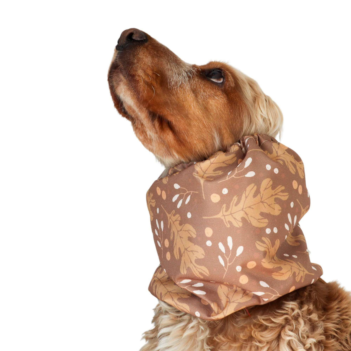 Waterproof  Dog Snood | Autumn Oak