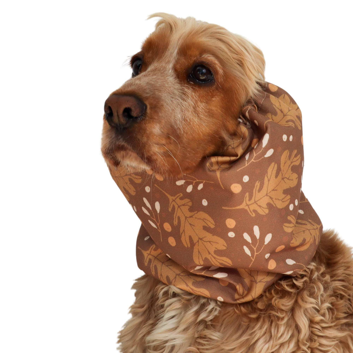 Waterproof  Dog Snood | Autumn Oak