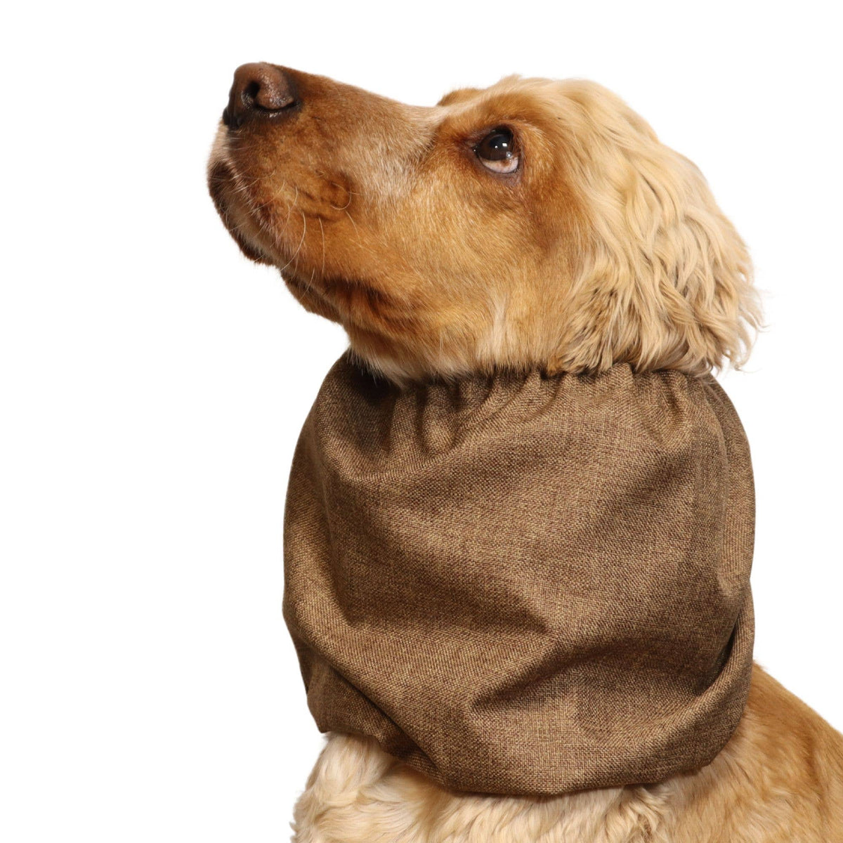 Waterproof  Dog Snood | Hazelnut Brown