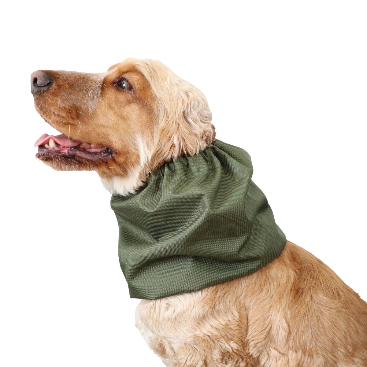Waterproof Dog Snood | Olive Green