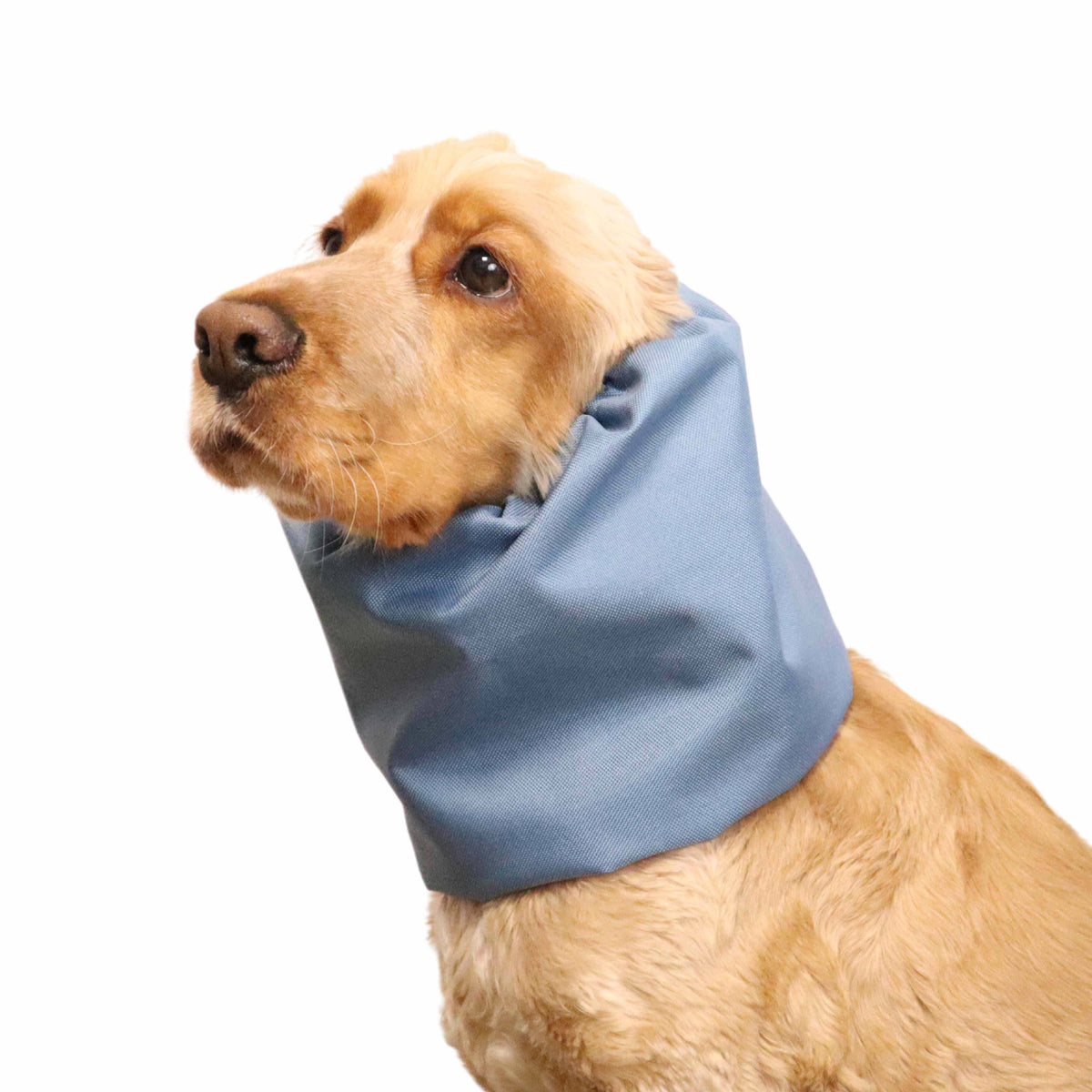 Waterproof Dog Snood | Petrol Blue