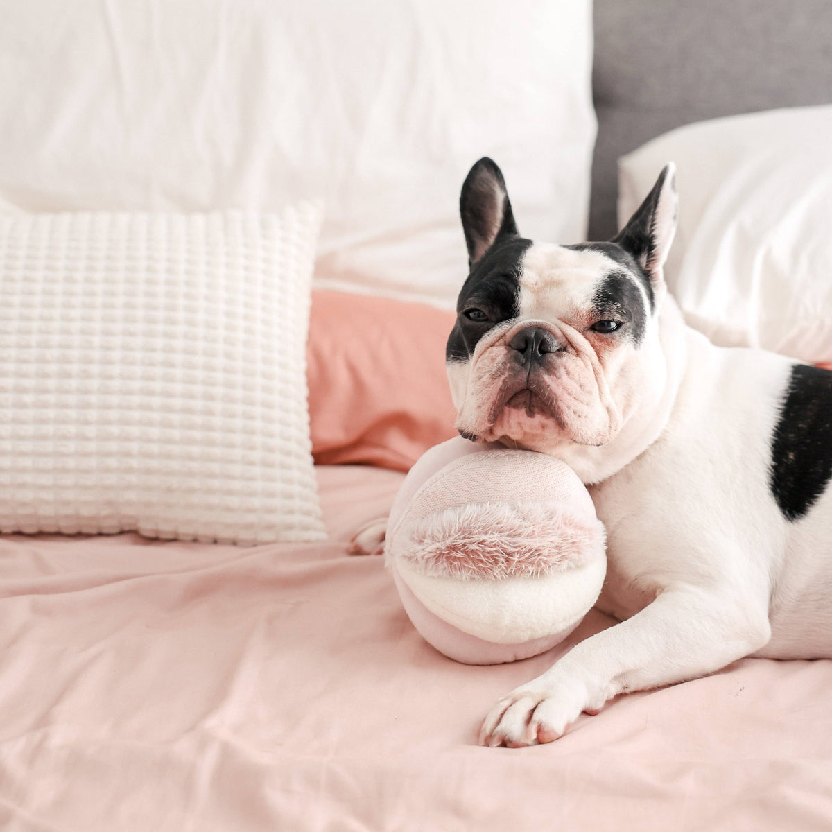 Snuffle Ball