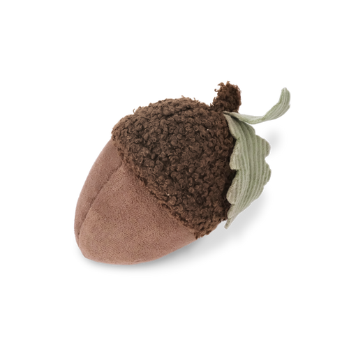 Acorn Enrichment Toy