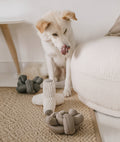 Noodle Enrichment Toy