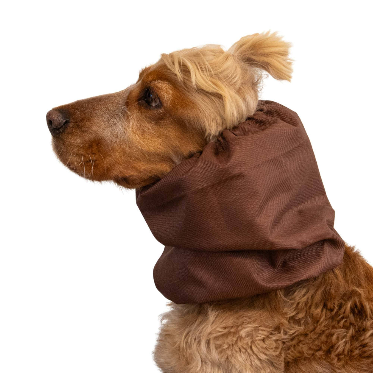 Waterproof Dog Snood | Chocolate