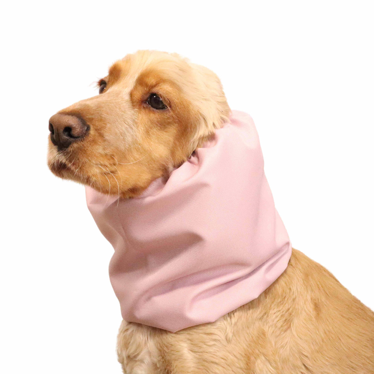 Waterproof Dog Snood | Cream Rose