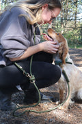 Hands Free Braided Leash | Moss Green