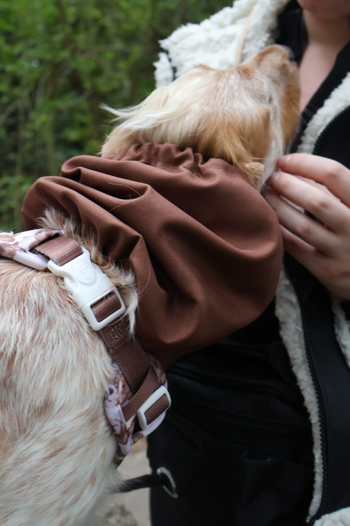 Waterproof Dog Snood | Chocolate